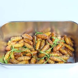MENU_2610915WE_1705395319