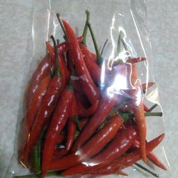 พริกแดง