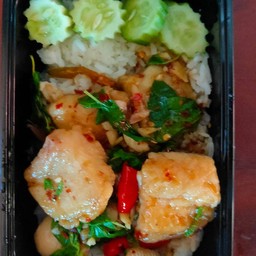 ข้าวกระเพราปลาดอลรี่