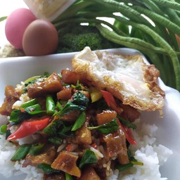 ข้าวราดกระเพราหมูกรอบ