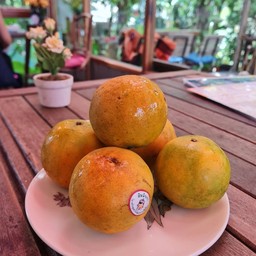 น้ำส้มคั้น