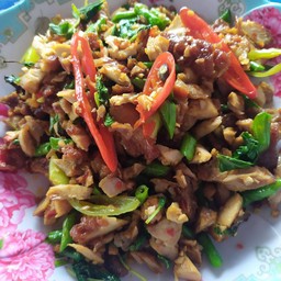 ข้าวราดกระเพราไก่