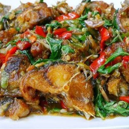 กระเพราปลาดุก (กับแกล้ม)