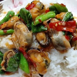 กระเพราหอยแมงพู่ หมูสับ แถมฟรีไข่ดาว