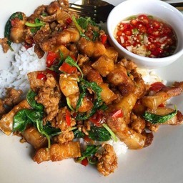 ผัดกระเพราหมูกรอบราดข้าว