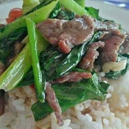 ผัดพริกคะน้าเนื้อ