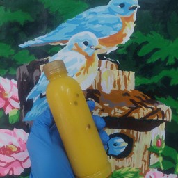 น้ำเสาวรส ขนาด 250 ML