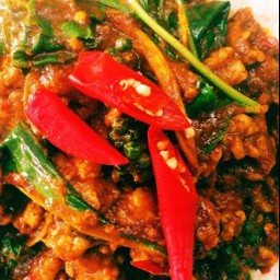 กระเพราเนื้อ ราดข้าว