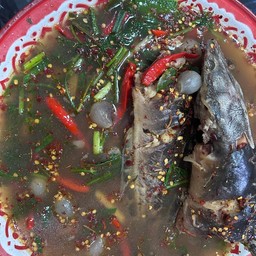 ปลาร้านัวเนีย