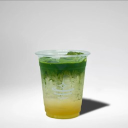 Elderflower Matcha Tonic