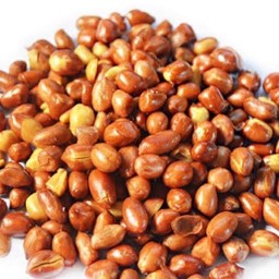 ถั่วทอด