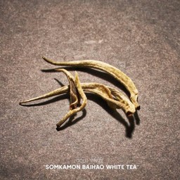 MENU_1180222QY_1697103080