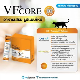 โปรโมชั่น ลดราคา VF core แมว สีส้มดูแลบำรุง/รักษาไต