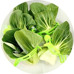 ผักกวางตุ้งไต้หวัน