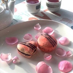 Macaron
