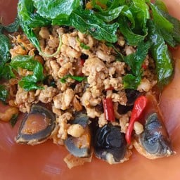 ข้าวกระเพรากรอบไข่เยี่ยวม้า