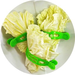 ผักกาดขาว