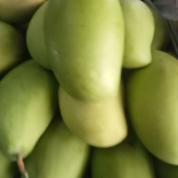 กิโลล่ะ