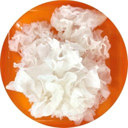 เห็ดหูหนูขาว