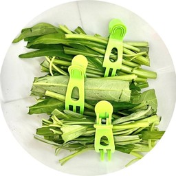 ผักบุ้ง