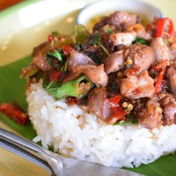 ข้าวราดกะเพราเครื่องในไก่