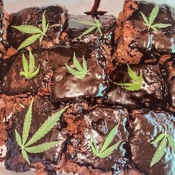 oัด แn่ง ปกติ(10จี)