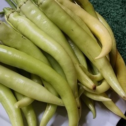 พริกหยวก พริกยำ