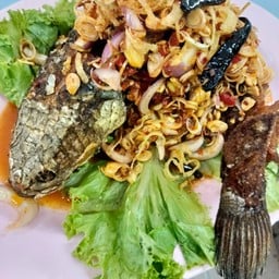 ปลาช่อนน้ำตก