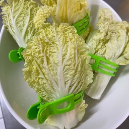 ผักกาดขาว