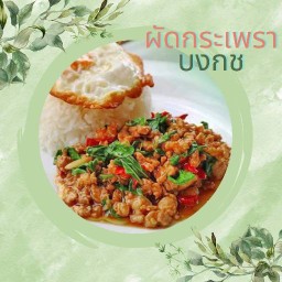 กะเพรา บงกช