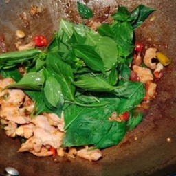 ผัดโหระพาน้ำมันหอยกับข้าว