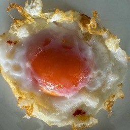 ไข่เป็ดดาว