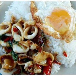 ข้าวราดกะเพราปลาหมึก