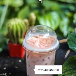 ชานมกุหลาบเย็น