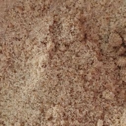 ต้นกล้าผลไม้สด 5 สาขาทุ่งสง.