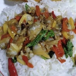 ข้าว-กะเพราเนื้อหอยลาย