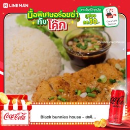 [อร่อยซ่ากับโค้ก] ข้าวไก่กรอบออริจินัลน้ำจิ้มแจ่ว + โค้ก 325ml