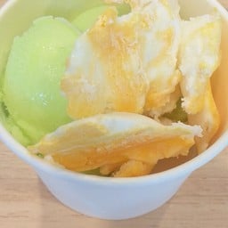 ไอศกรีม โฮมเมด ศูนย์การแพทย์มหาลัยวลัยลักษณ์