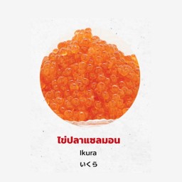 Topping ไข่ปลาแซลมอน Ikura ( X )