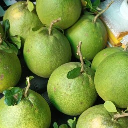 ส้มโอขาวใหญ่อัมพวา