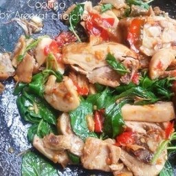 เฉพาะกะเพราไก่
