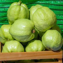 ผลไม้สด ฝรั่งกิมจู 1 กิโลกรัม