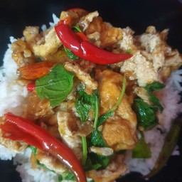 ไข่เจียวผัดกระเพราราดข้าว