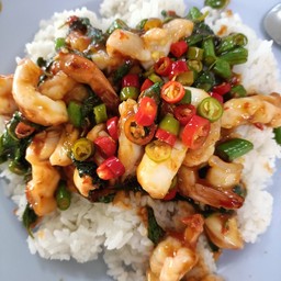 ข้าวราดกะเพราทะเล