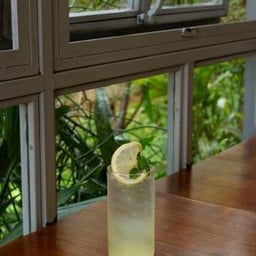 Lemonade Soda