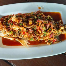 ปลากะพงโบราณ