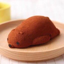 หมีช็อคโกแล็ต