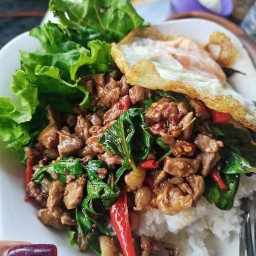 Berger House แอนเน๊กซ์