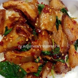 [อร่อยซ่ากับโค้ก] กะเพราคอหมูย่าง +  โค้ก ออริจินัล (กระป๋อง)