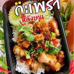 กะเพราหลังบ้าน ซอย 8 ซอย 8